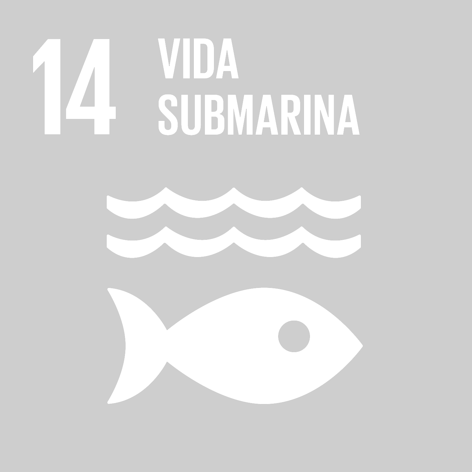 Objetivo 14: Conservar y utilizar en forma sostenible los océanos, los mares y los recursos marinos